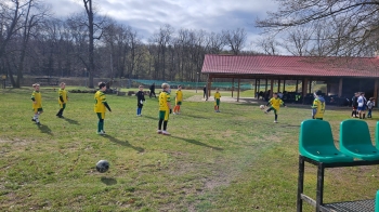 WhatsApp Image 2025-04-10 at 11.05.36.jpeg