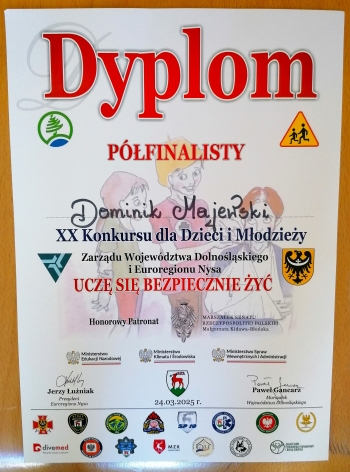 dyplom polfinsliosty
