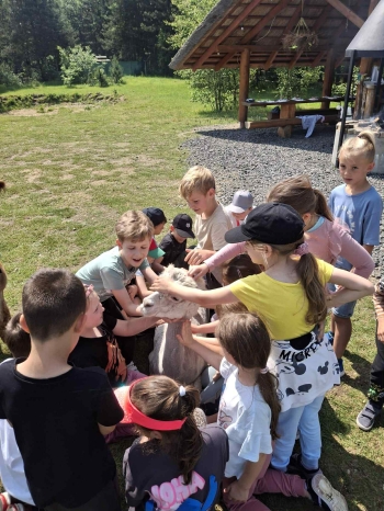 96b73b92-6394-4479-bc62-168bba2b578a