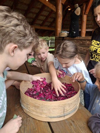 7c7049c5-541a-42b2-8d2a-a2229865bb84