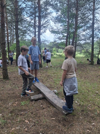 2cd43ed8-c197-4ef5-b466-81f6223fdbd0