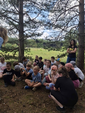 29d456d5-858a-45f5-8070-124c872cbe86