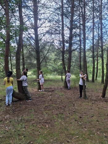 18f0dfff-bdd2-42dc-a34b-190fa5a71800