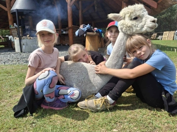 712d0c2b-f103-44d1-a7ca-9d7857f1f057