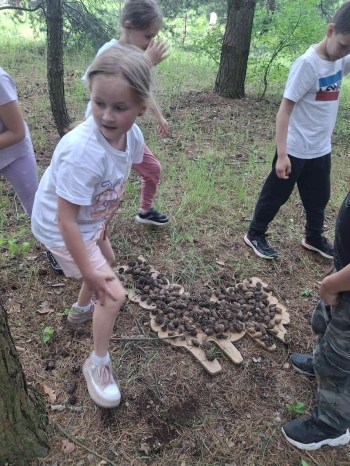 9118050a-95b1-4402-8b19-8b2c61f77b01