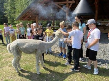 ba18d477-31af-41bf-8df5-3ded5a275e23