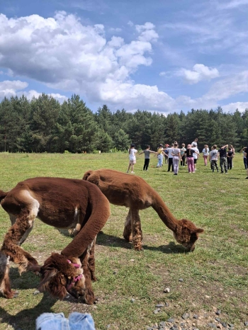 f529afc8-28dd-4897-b3a3-671f6adfe407