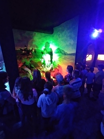 IMG_20250605_104435[1]