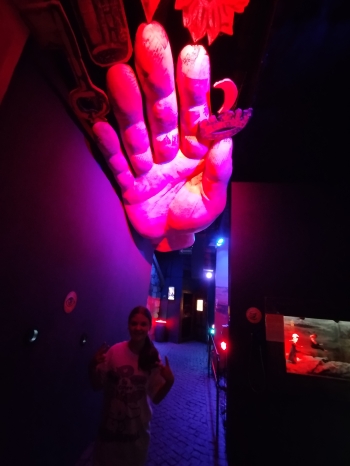 IMG_20250605_105334[1]