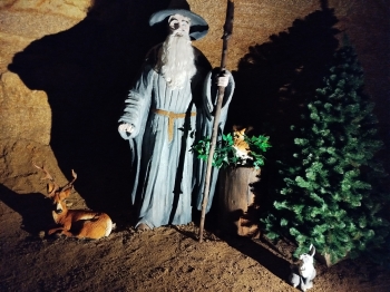 IMG_20250605_132926[1]