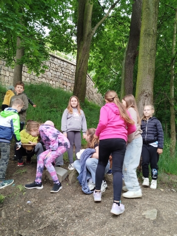 IMG_20250605_140223[1]