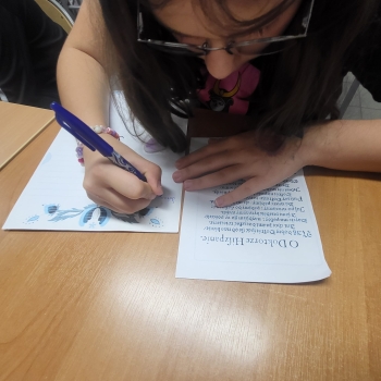 Zdjęcie WhatsApp 2025-09-14 o 10.28.05_bdbe2b21