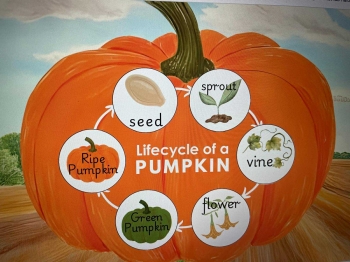 ebb4b0c0-5591-46a5-85c8-c310e4fed7a8 (4).jpeg