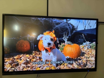 65387e3b-2469-4c02-bb13-f660c7da61a6 (1).jpeg