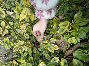 IMG_20260320_105712720_HDR