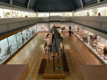 photo-2026-04-22-19-00-12