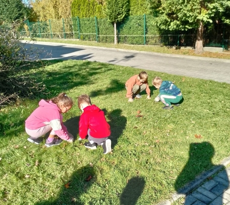 Sadzenie cebulek kwiatowych 