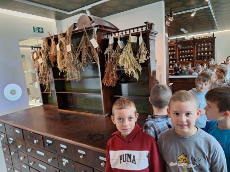 Zielarskie tajemnice dawnych aptek 