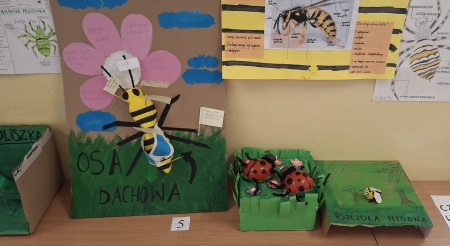 Konkurs wiosenny „Poznajmy stawonogi”