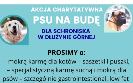 Akcja charytatywna „Psu na budę” 